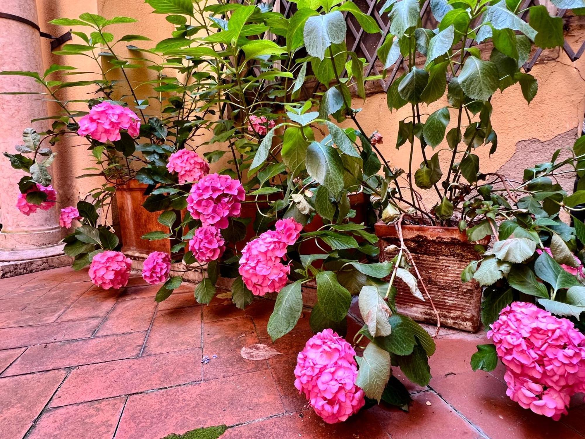 Appartement House Of Magic - Due Torri