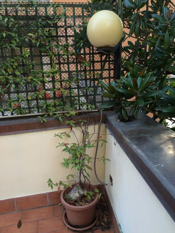 Tl Murri Apartamento *