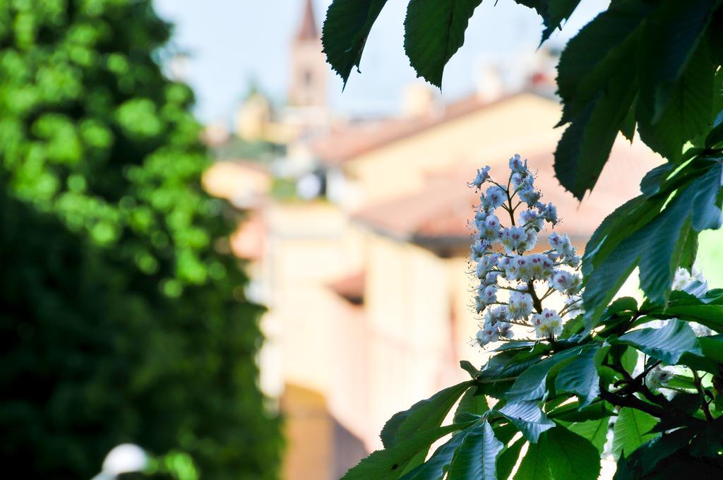 Al Parco Giardini Margherita Bed & Breakfast