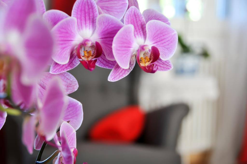 Al Parco Giardini Margherita Bed & Breakfast *