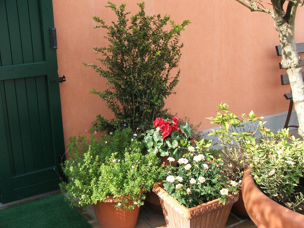 Belfiore Bolonia