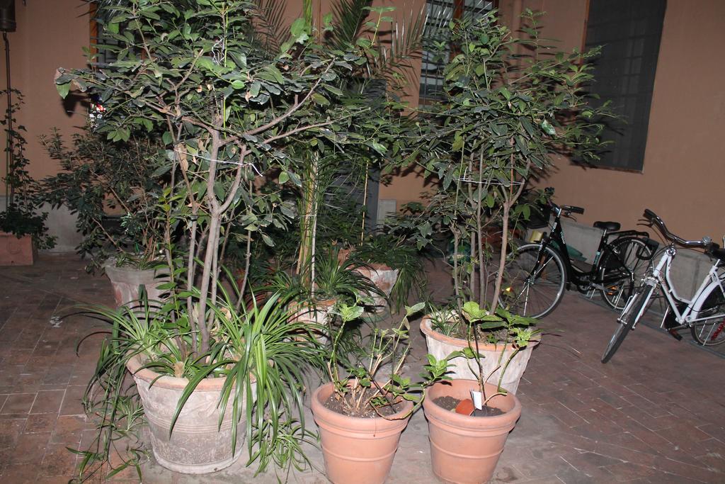 Appartement Monolocale Oberdan
