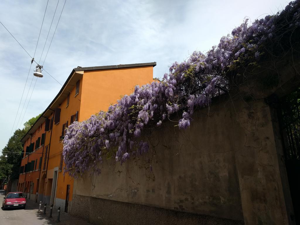 Apartment Malgrado House - Nigrisoli - Sant'orsola *