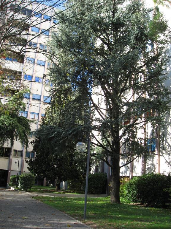 Serena Séjour chez l'habitant Bologne
