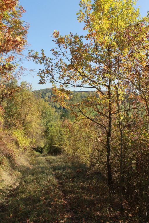 Boscobo - Relax & Natura Appartement *