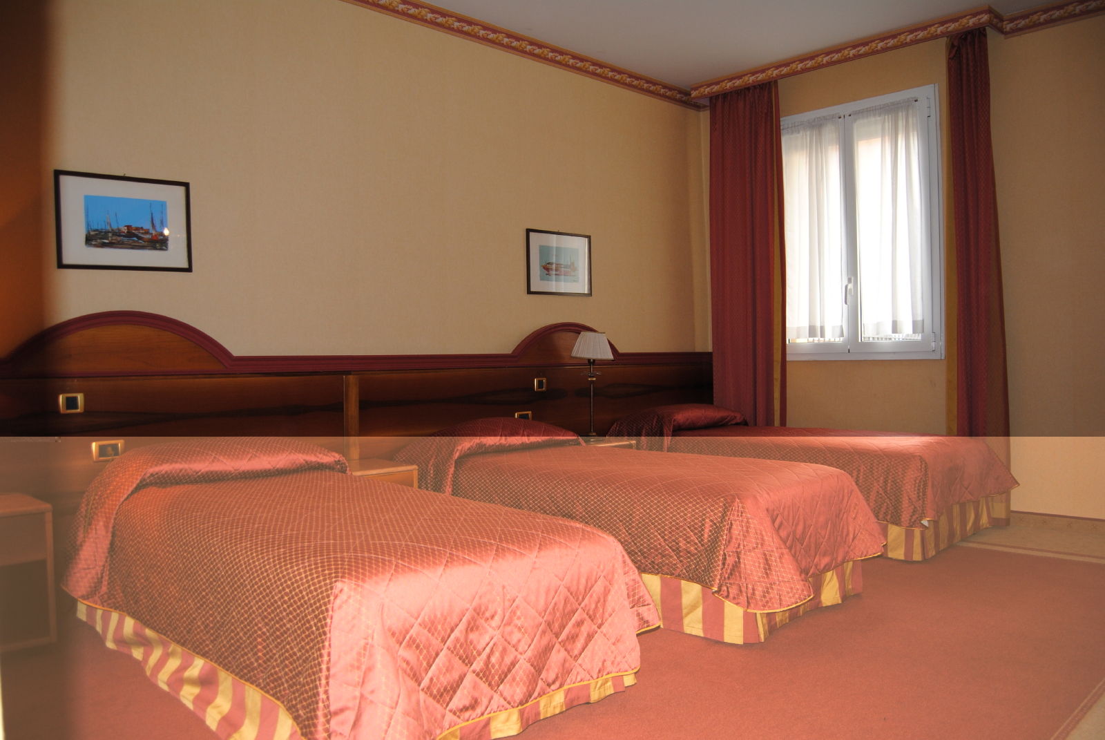 Hotel Zanhotel Regina 3*