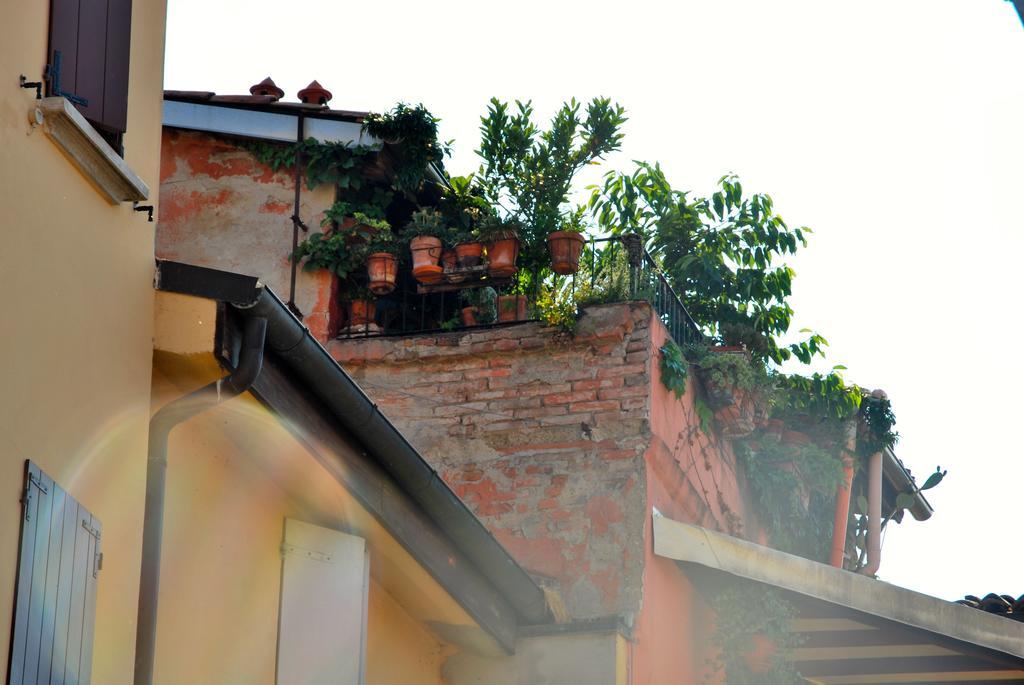 Margherita Homes