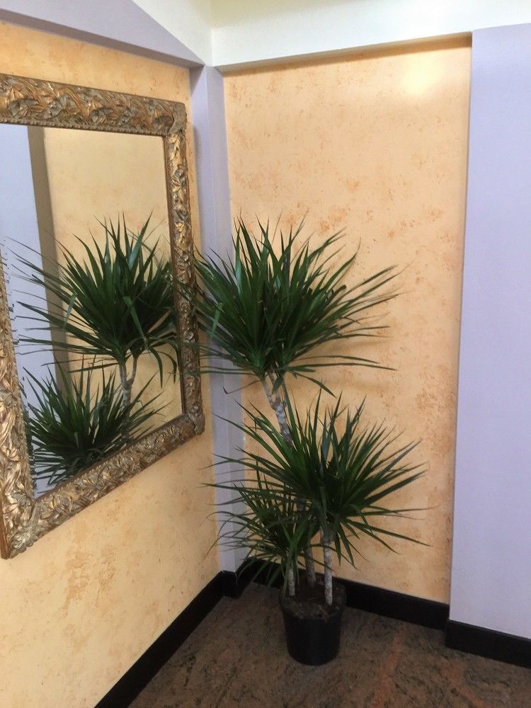 Hotel Marco Polo Self Check-in Bologna