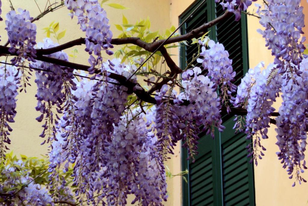Hotel San Vitale *