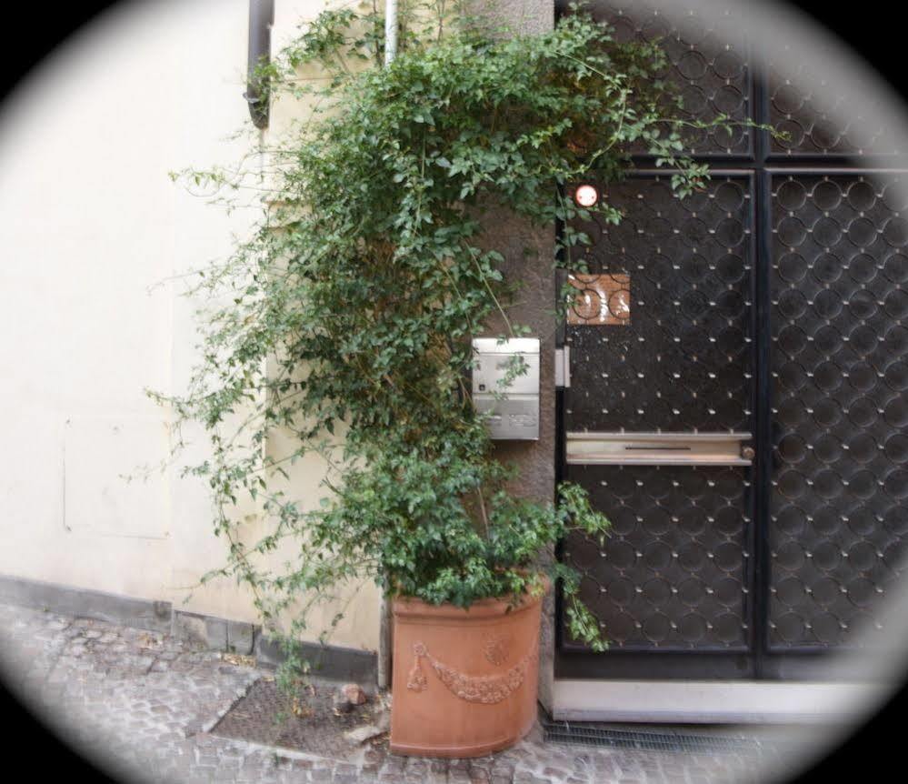 Cristina Rossi 3* Bologna