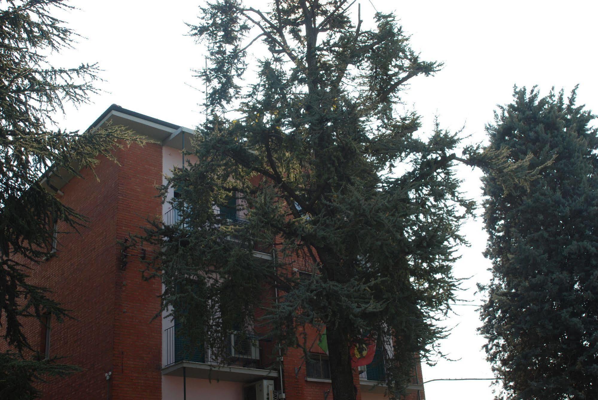 Hotel Tuscolano 2*