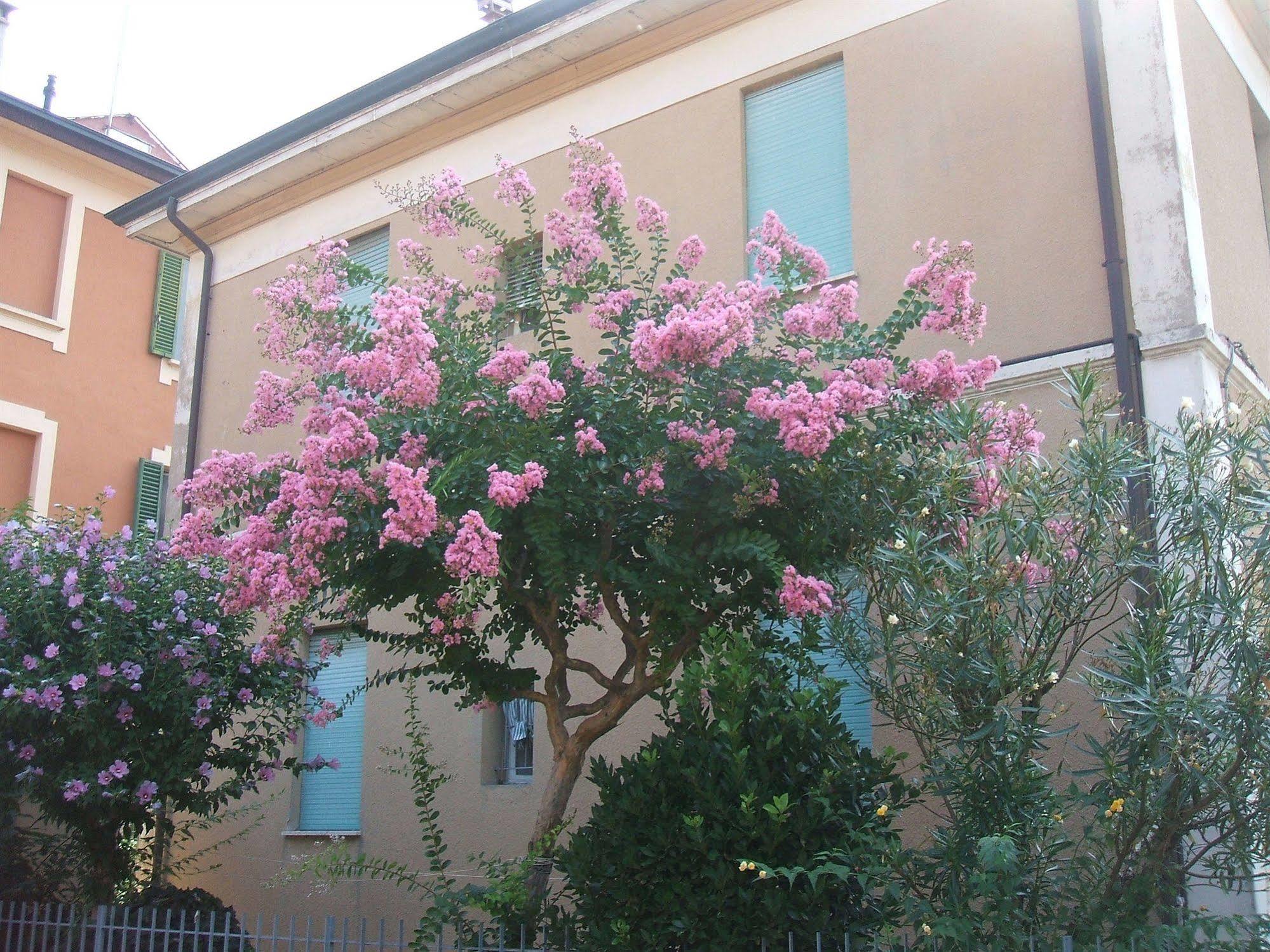 Hotel Accorsi 3*