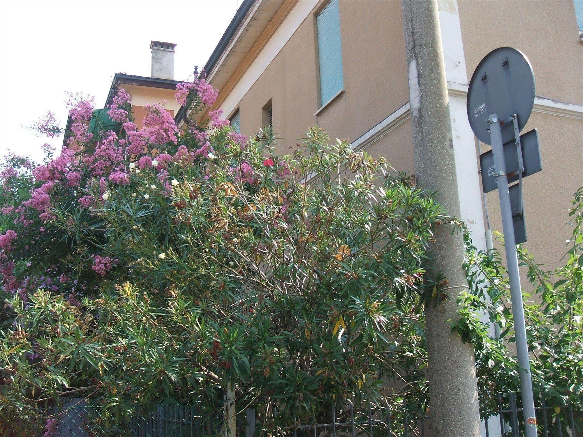 Accorsi 3*