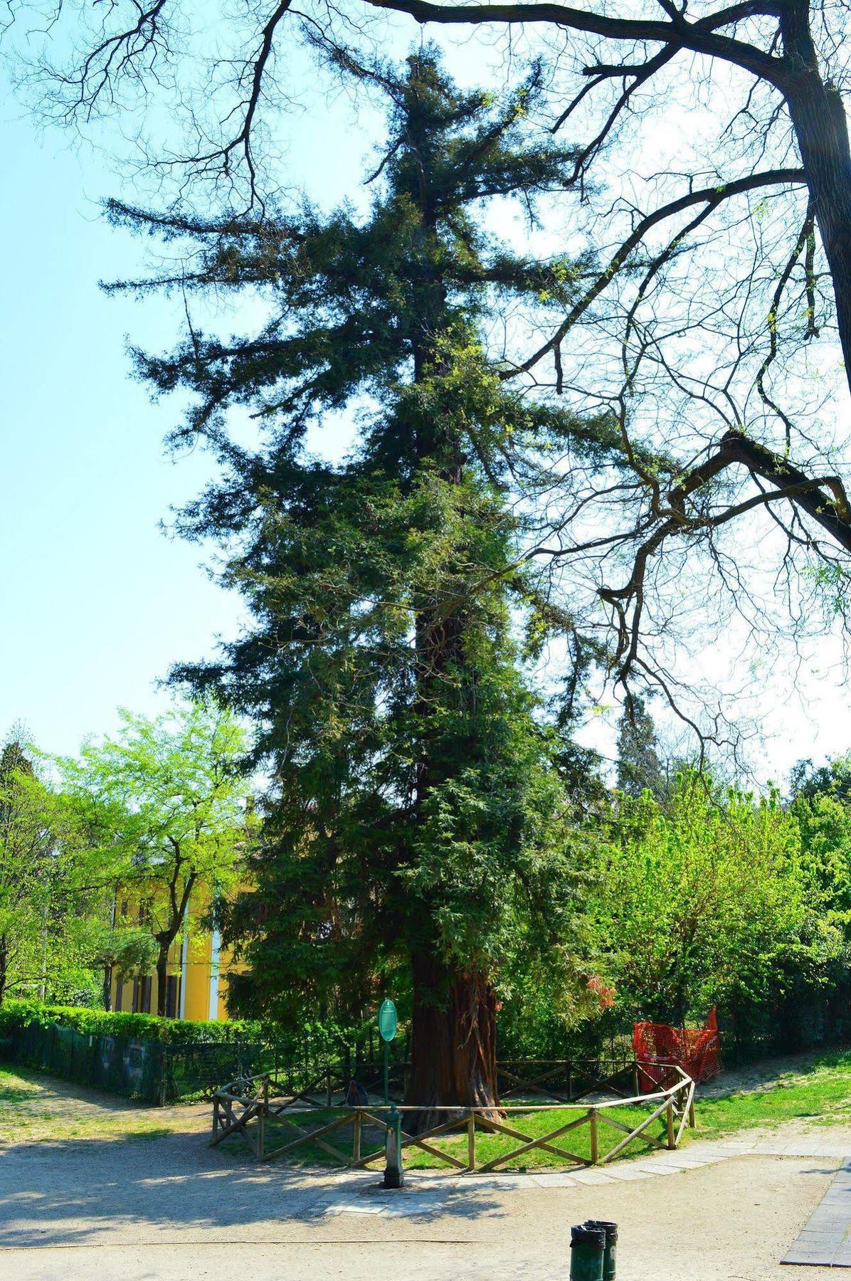 Il Giardino Nel Parco R&b
