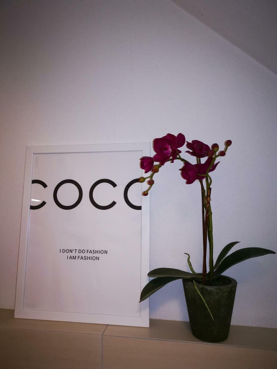 Boutique Appartamento *