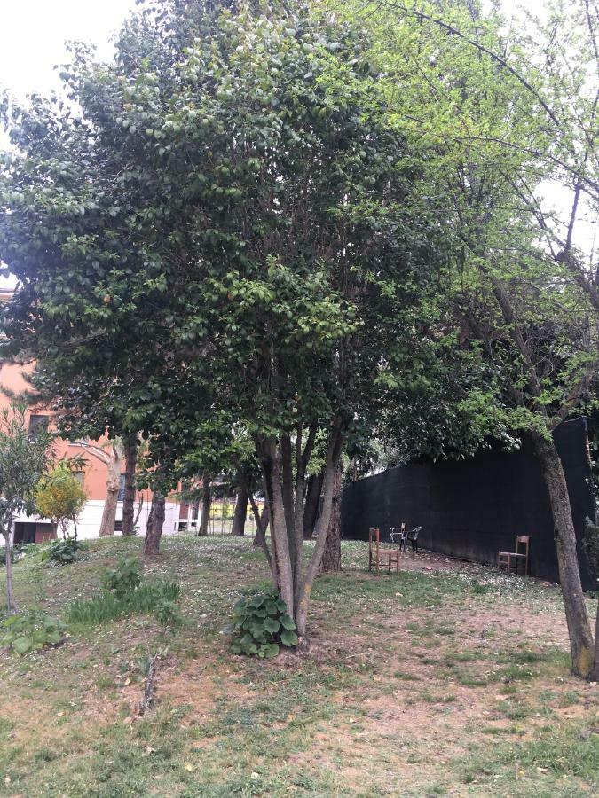 Tra S.orsola E Fiera Apartment Bologna