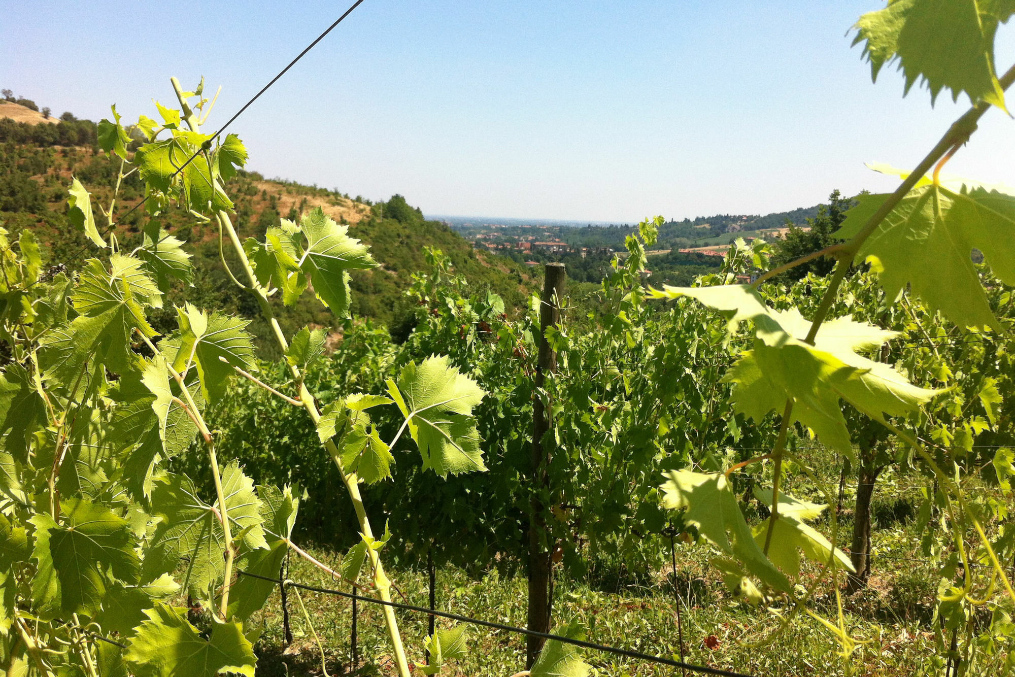 Ben Ti Voglio Alloggio per agriturismo Bologna