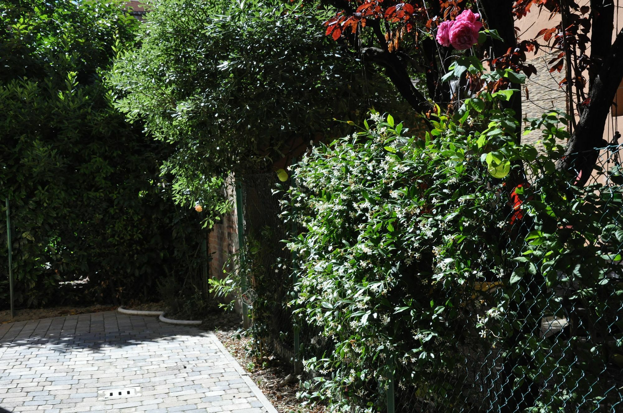 Casa Ardizzoni