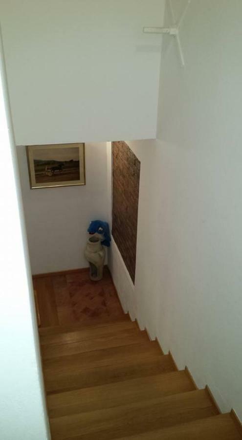 Bed and breakfast Il Delfino A