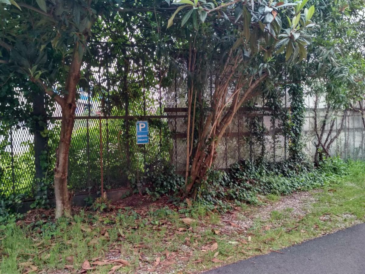 Pisolo Nuovo Vicino All'ospedale Sant'orsola Bologna