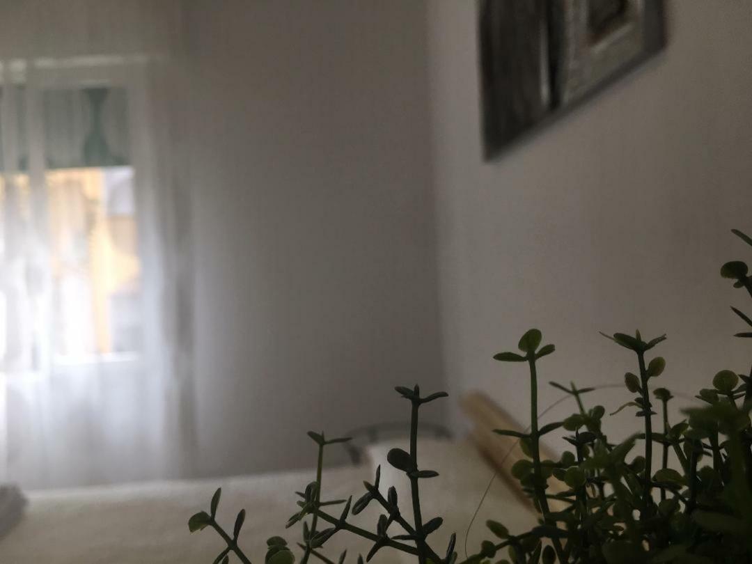 Zerbini Bed and breakfast Bolonia