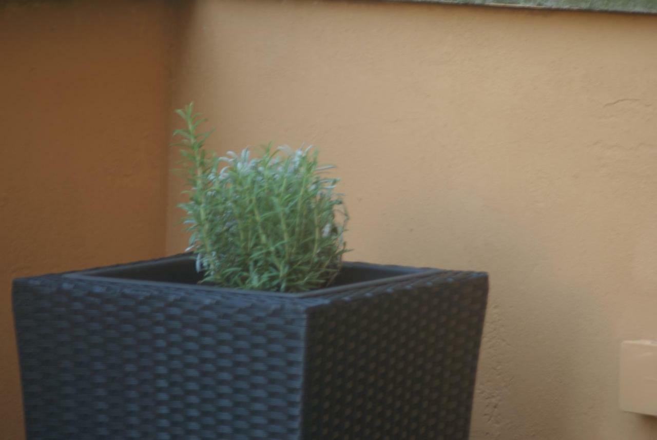 Appartamento Stayinbologna