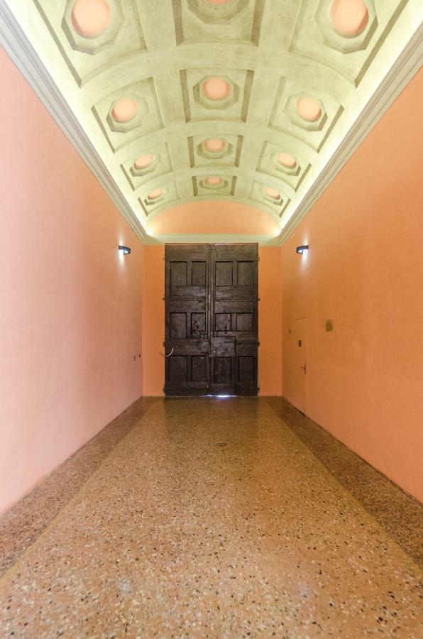 Bocchi Elegant Bolonia