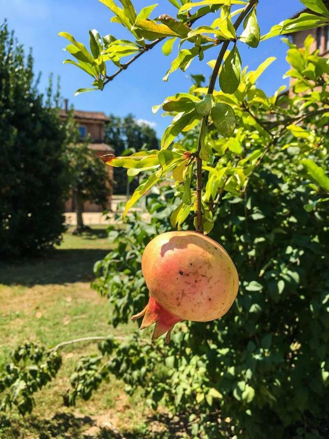 Apartamento Borgo Sartoni Case Vacanze In Affitto