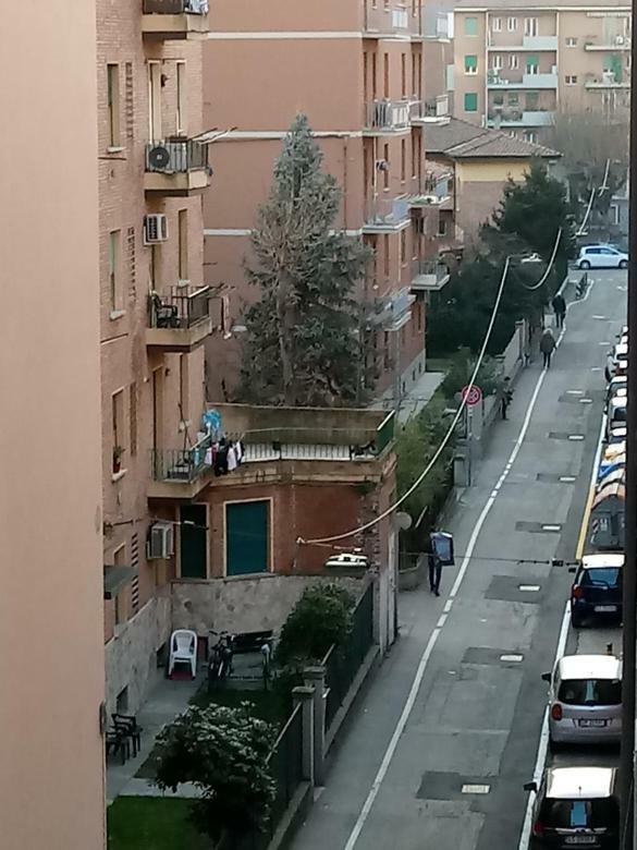 Casa Di Cicci Bolonia