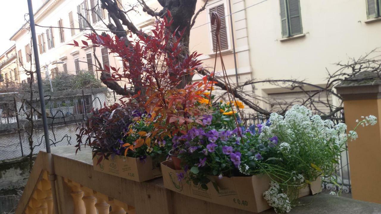 Tilia Appartement *