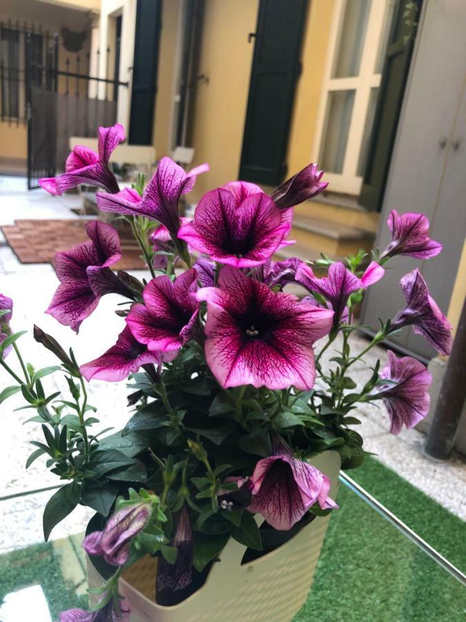 Le Palme Apartamento