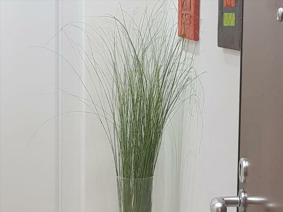 Tamb&b2 Guest house Bologna