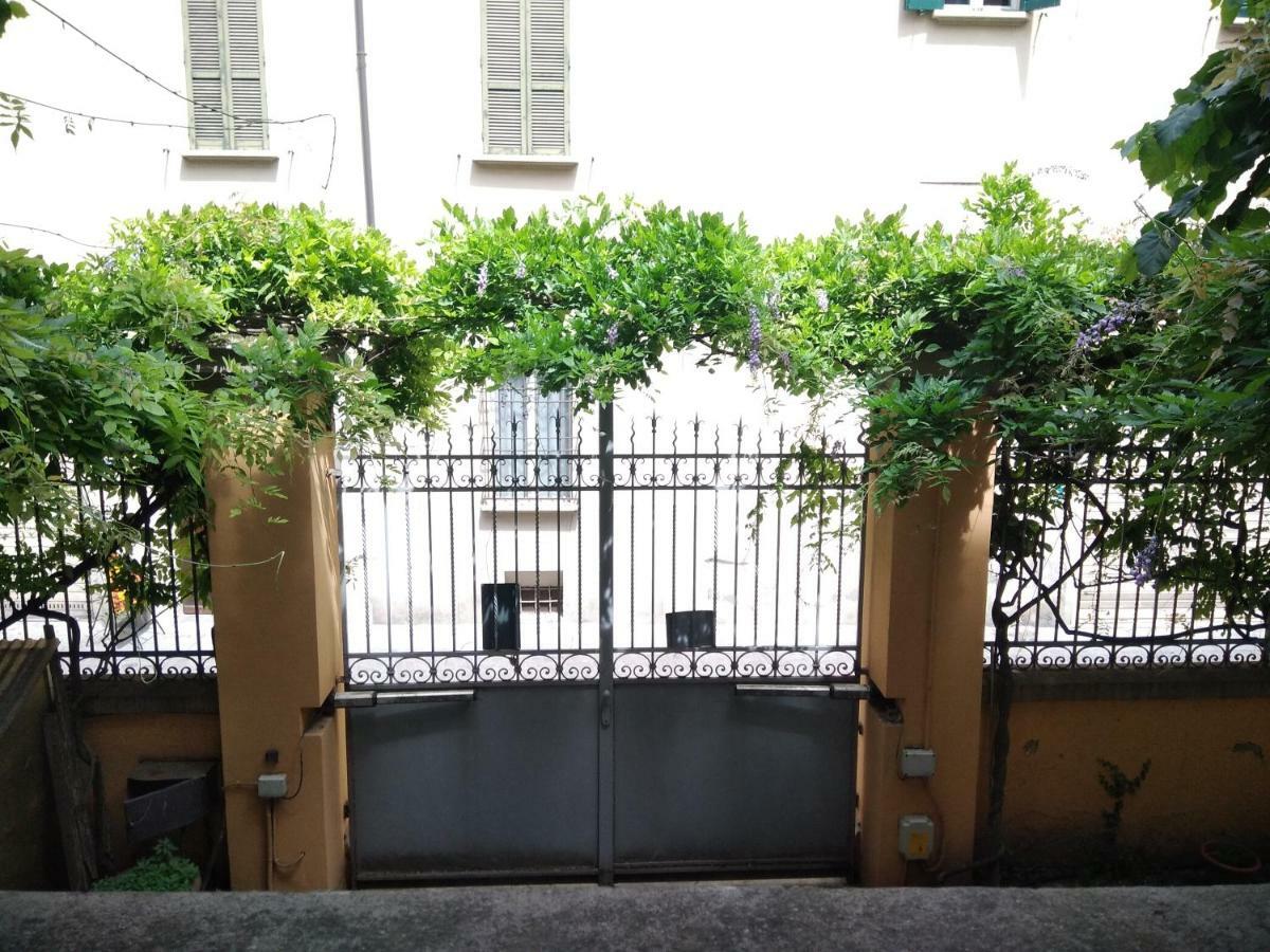 Tilia Bologne