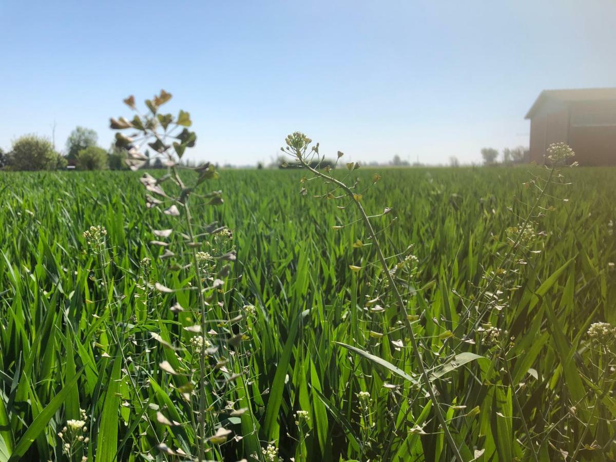 N'uova Campagna Agroturismo