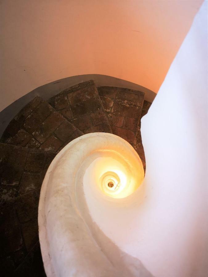 Farolfi Pepoli Apartment *