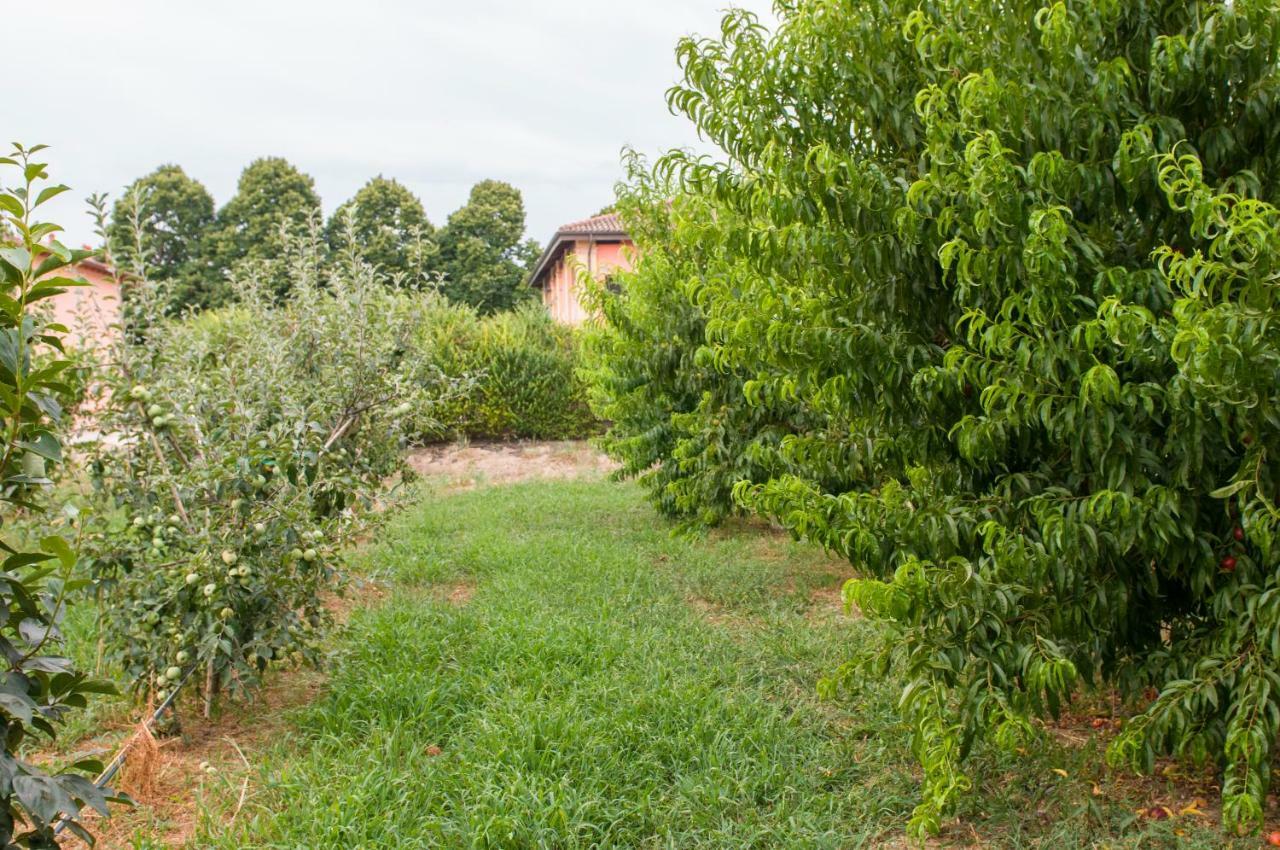 N'uova Campagna Bolonia