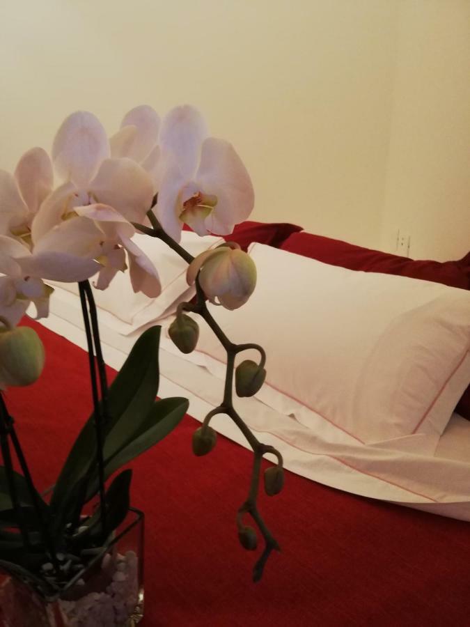 Agroturismo N'uova Campagna