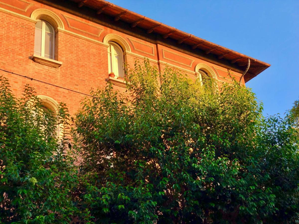 Bosco Bianco *