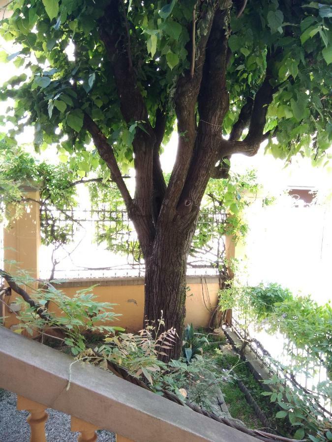Appartement Tilia Bologne