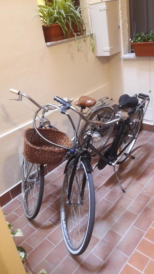 Giardino Segreto - History And Design Bolonha