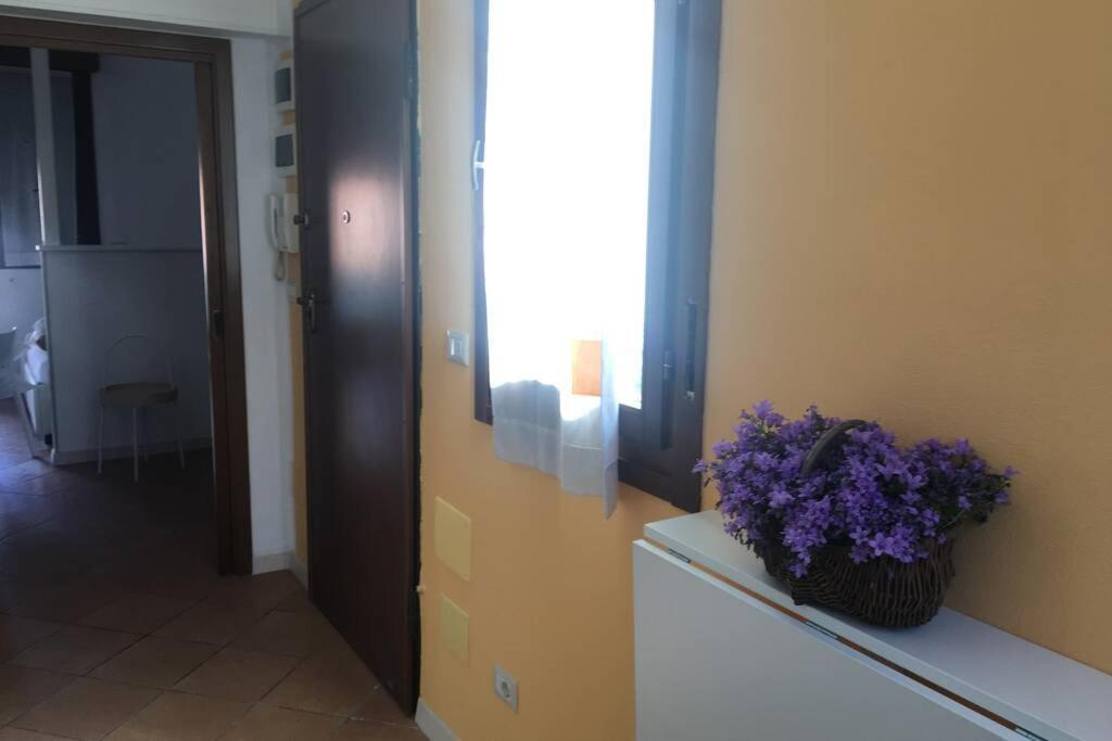 Via Montenero Appartement Bologna