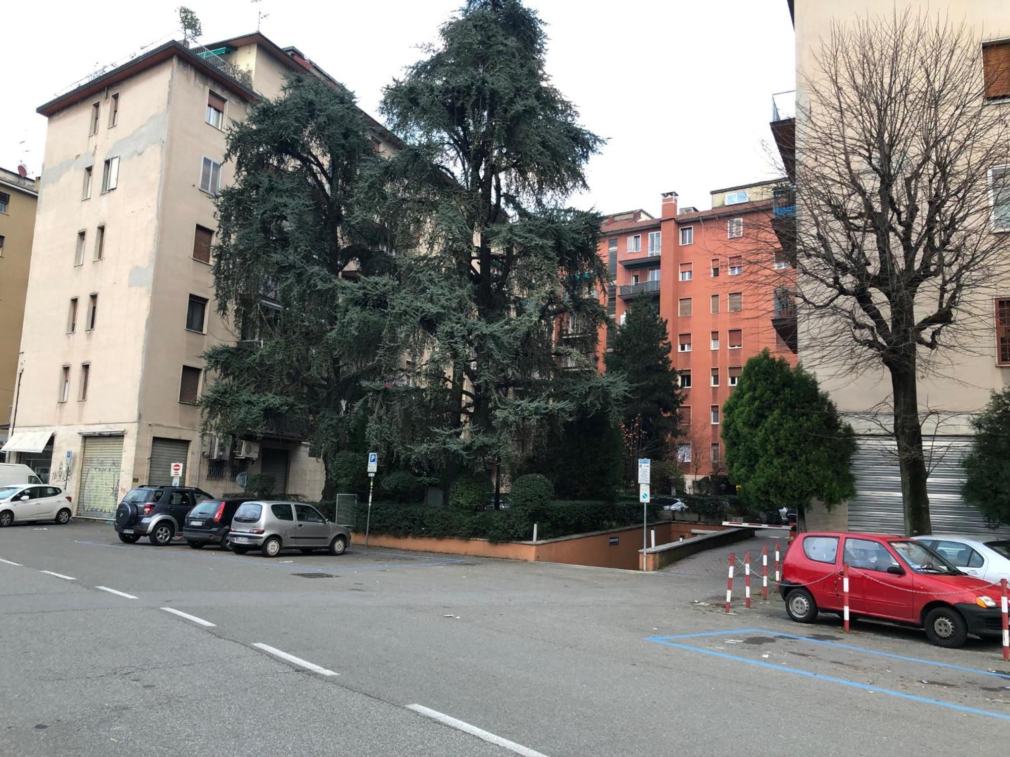 Tra Le Torri - Ampia Stanza Privata In Con Bagno Privato Accessibile Da Corridoio Bed and breakfast