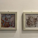 Casa Cirenaica Art House