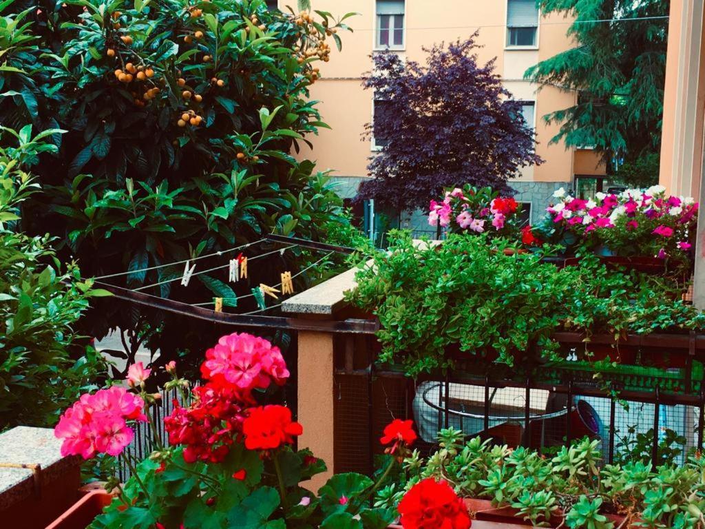Appartamento Casa Bologna