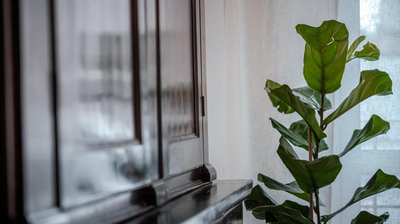 Appartement Scalo109