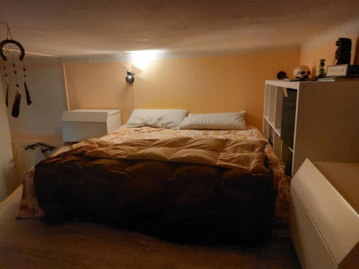 Bologna Guest House Ostello *