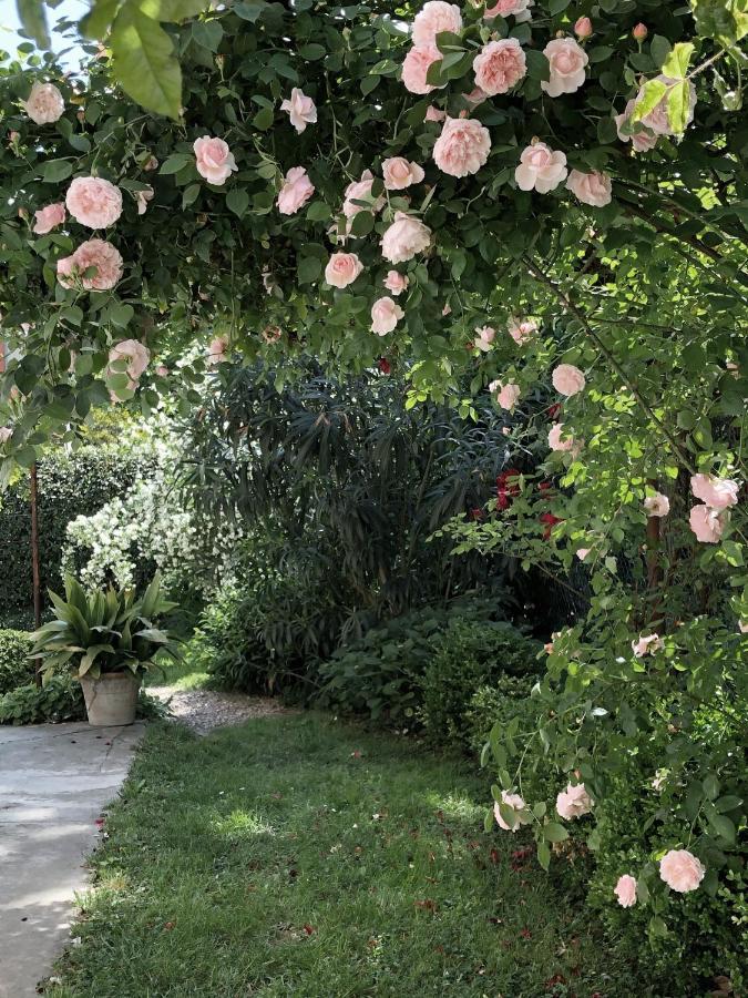 Bed and breakfast Ca'vermiglia Bolonia