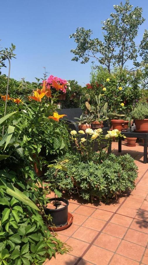 Il Giardino Sui Tetti Lejlighed *
