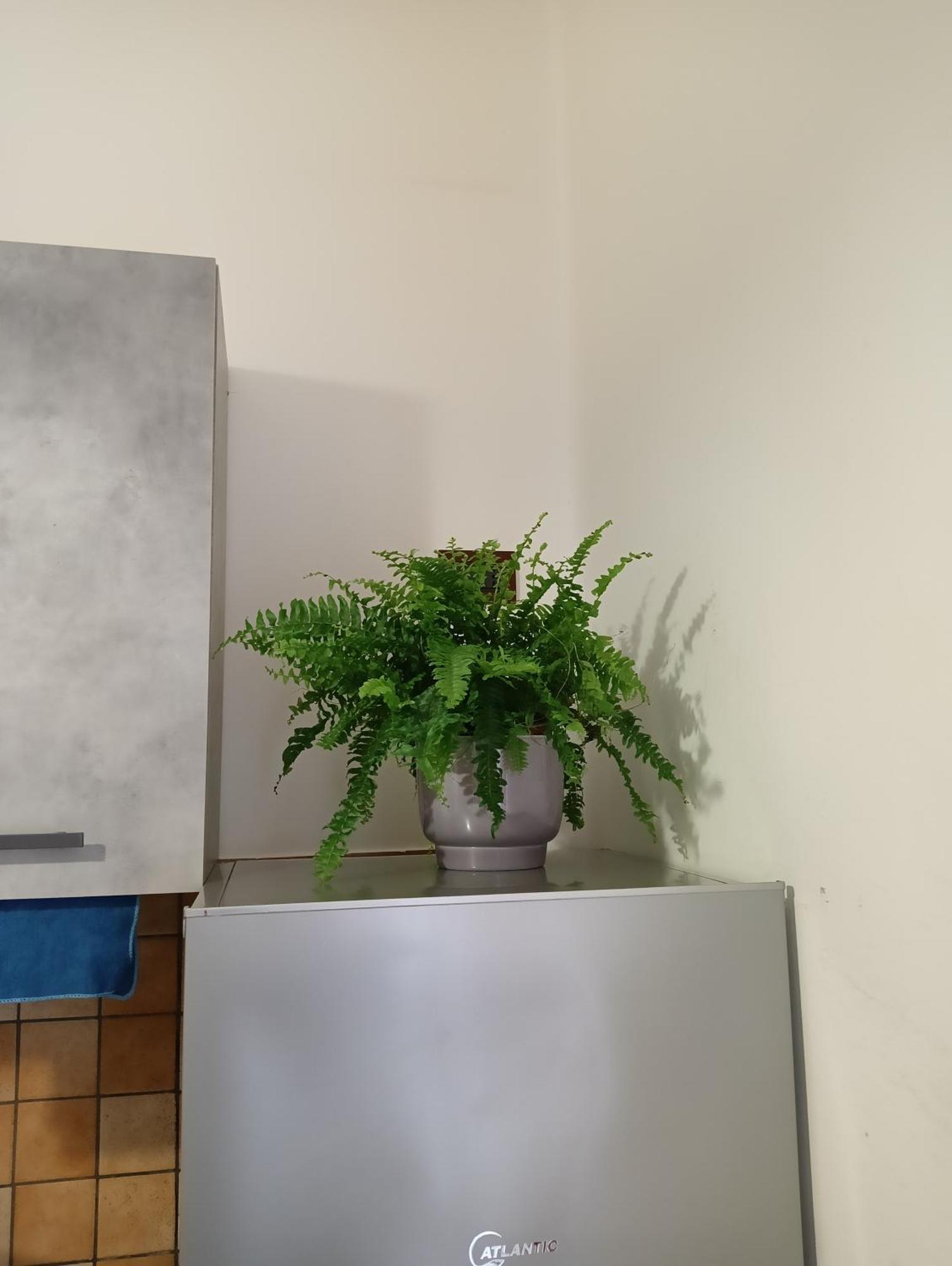 051 Appartement Bologne