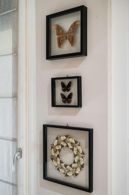 Appartamento Casa Delle Farfalle